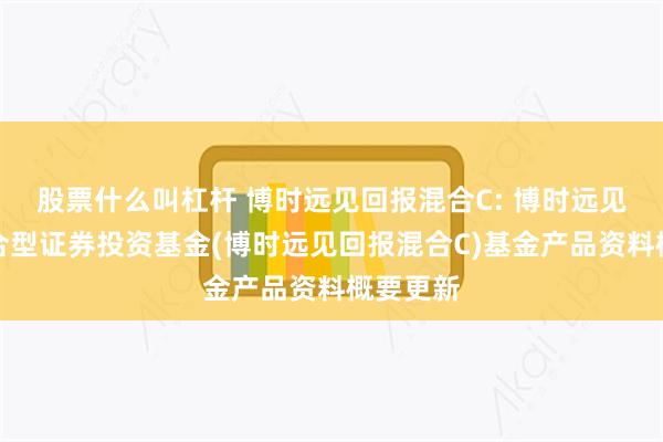 股票什么叫杠杆 博时远见回报混合C: 博时远见回报混合型证券投资基金(博时远见回报混合C)基金产品资料概要更新