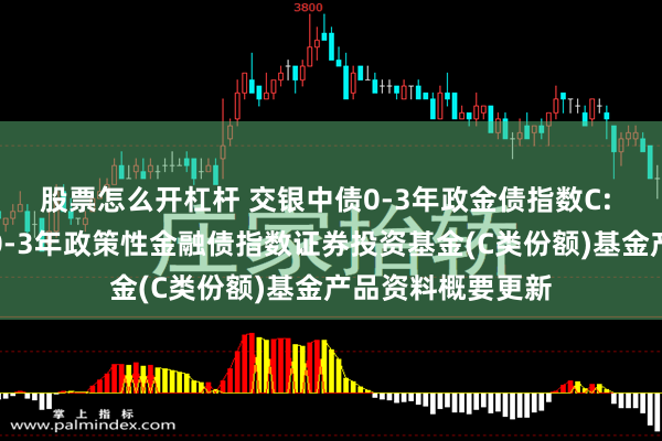 股票怎么开杠杆 交银中债0-3年政金债指数C: 交银施罗德中债0-3年政策性金融债指数证券投资基金(C类份额)基金产品资料概要更新