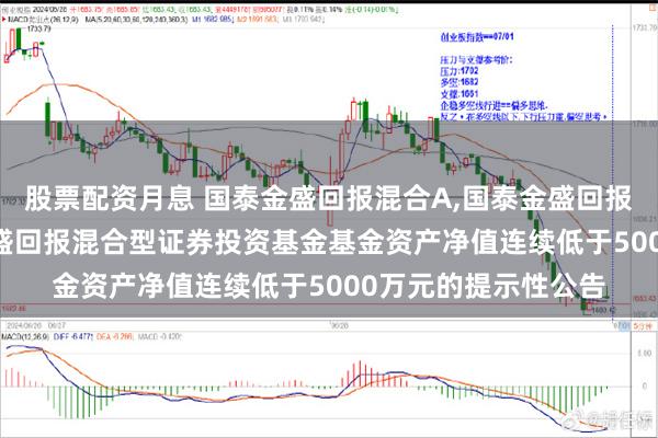 股票配资月息 国泰金盛回报混合A,国泰金盛回报混合C: 关于国泰金盛回报混合型证券投资基金基金资产净值连续低于5000万元的提示性公告