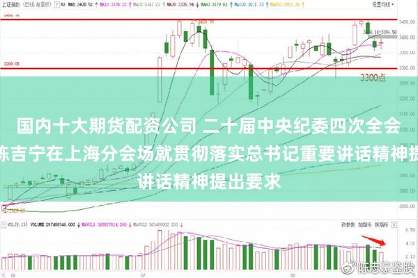 国内十大期货配资公司 二十届中央纪委四次全会开幕，陈吉宁在上海分会场就贯彻落实总书记重要讲话精神提出要求