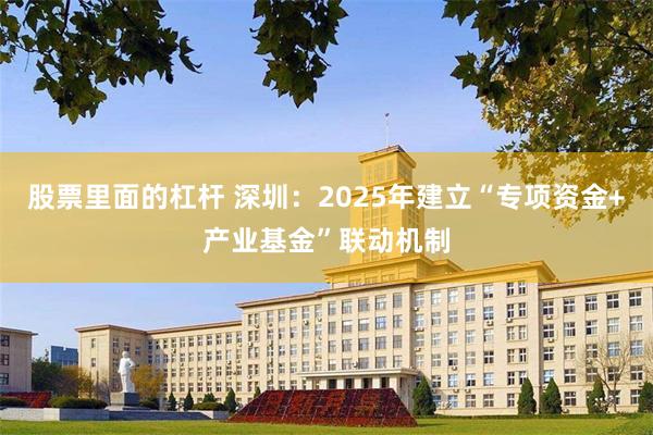 股票里面的杠杆 深圳：2025年建立“专项资金+产业基金”联动机制